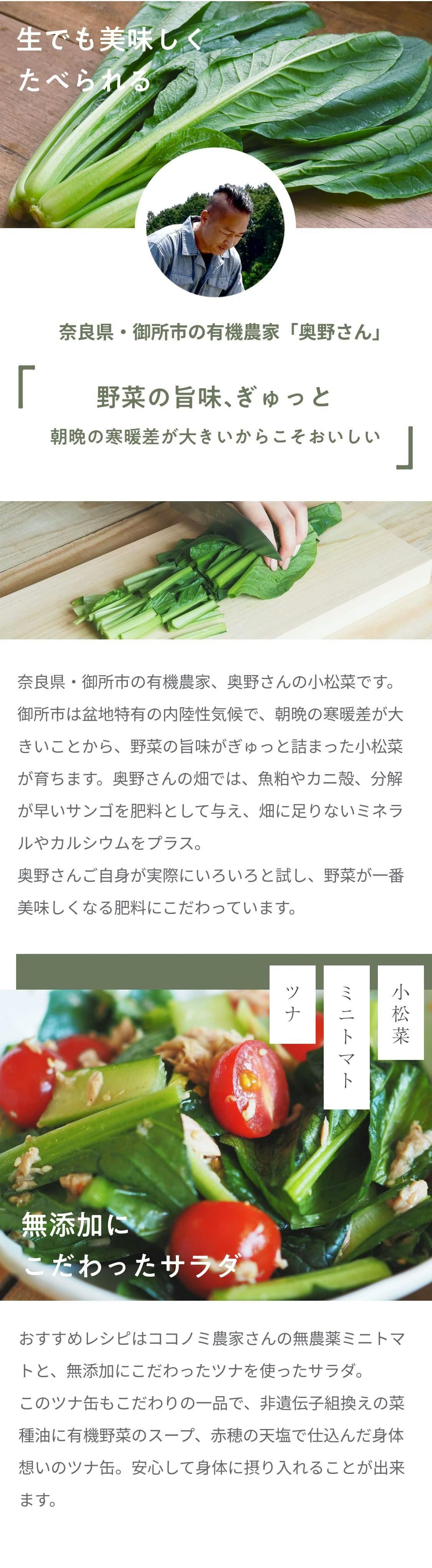 驚き！生でも食べられる小松菜でつくるツナサラダセット_00
